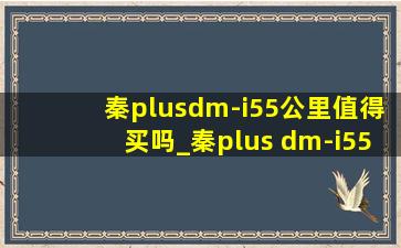 秦plusdm-i55公里值得买吗_秦plus dm-i55km值得买吗